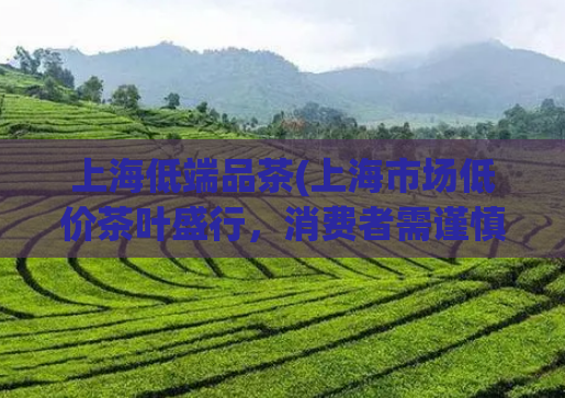 上海低端品茶(上海市场低价茶叶盛行，消费者需谨慎购买)