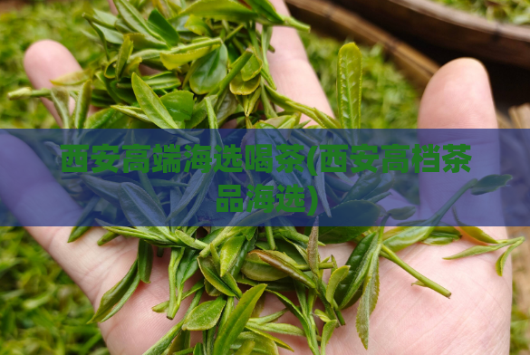 西安高端海选喝茶(西安高档茶品海选)