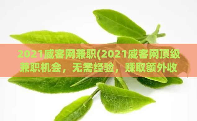 2021威客网兼职(2021威客网顶级兼职机会，无需经验，赚取额外收入)