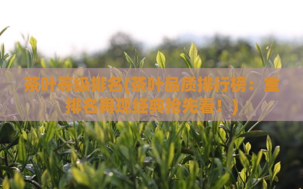 茶叶等级排名(茶叶品质排行榜：重排名再现经典抢先看！)