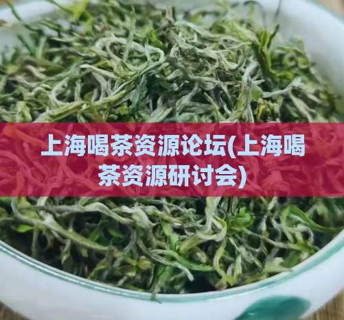上海喝茶资源论坛(上海喝茶资源研讨会)