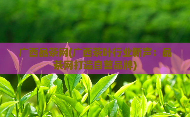 广西品茶网(广西茶叶行业新声:品茶网打造自营品牌)