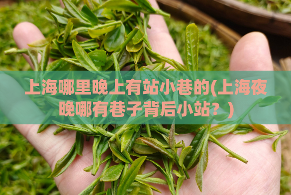 上海哪里晚上有站小巷的(上海夜晚哪有巷子背后小站?)