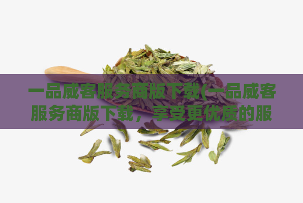 一品威客服务商版下载(一品威客服务商版下载，享受更优质的服务)