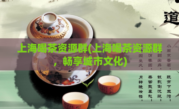 上海喝茶资源群(上海喝茶资源群,畅享城市文化)