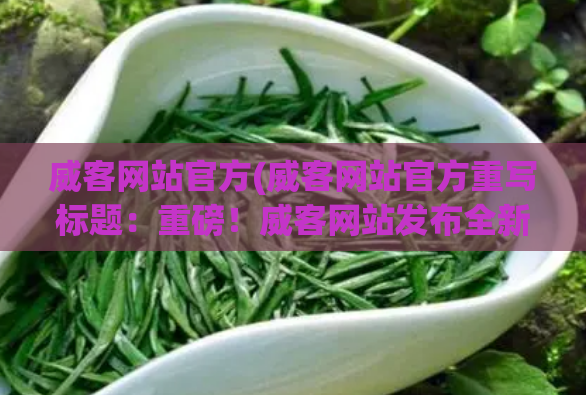 威客网站官方(威客网站官方重写标题:重磅!威客网站发布全新官网,助你找到理想的自由职业者!)
