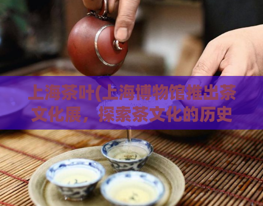 上海茶叶(上海博物馆推出茶文化展，探索茶文化的历史与现代价值)