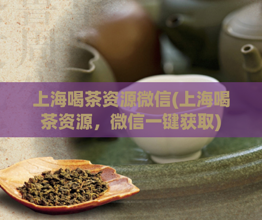上海喝茶资源微信(上海喝茶资源,微信一键获取)