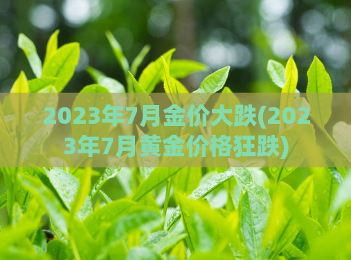 2023年7月金价大跌(2023年7月黄金价格狂跌)