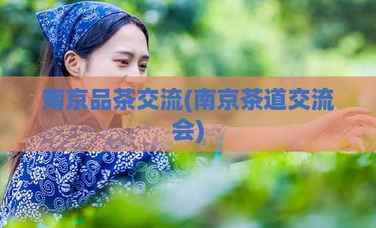 南京品茶交流(南京茶道交流会)