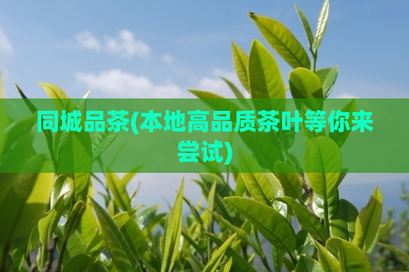 同城品茶(本地高品质茶叶等你来尝试)