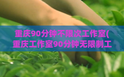 重庆90分钟不限次工作室(重庆工作室90分钟无限制工作，劳而无怨。)