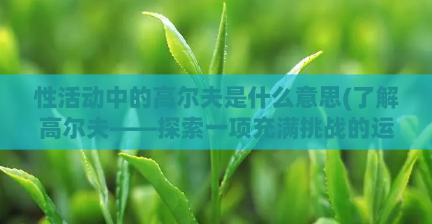性活动中的高尔夫是什么意思(了解高尔夫——探索一项充满挑战的运动)