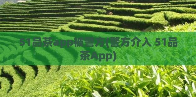 51品茶app被警方(警方介入 51品茶App)