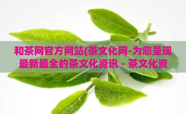 和茶网官方网站(茶文化网-为您呈现最新最全的茶文化资讯 - 茶文化资讯全面呈现，尽在茶网)