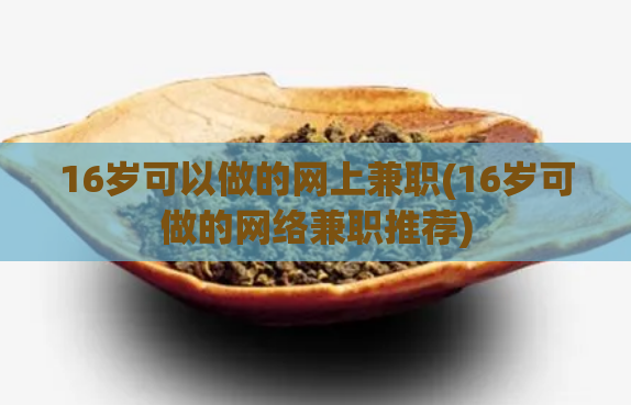 16岁可以做的网上兼职(16岁可做的网络兼职推荐)