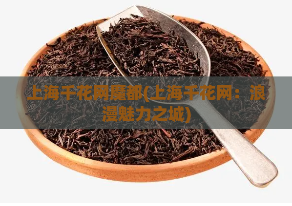 上海千花网魔都(上海千花网:浪漫魅力之城)
