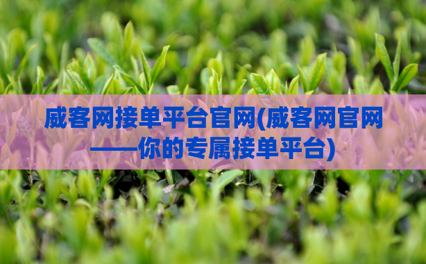 威客网接单平台官网(威客网官网——你的专属接单平台)