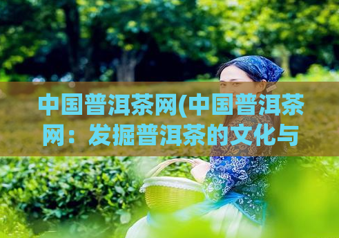 中国普洱茶网(中国普洱茶网：发掘普洱茶的文化与价值)