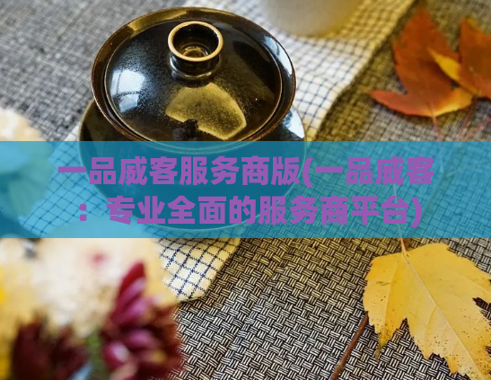一品威客服务商版(一品威客:专业全面的服务商平台)