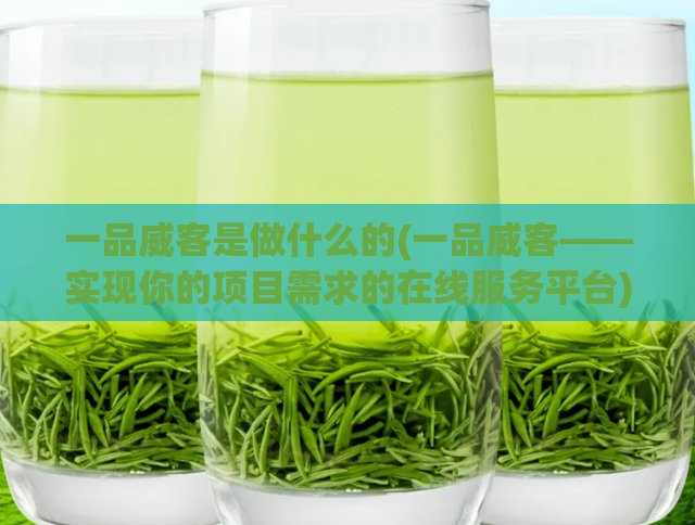 一品威客是做什么的(一品威客——实现你的项目需求的在线服务平台)