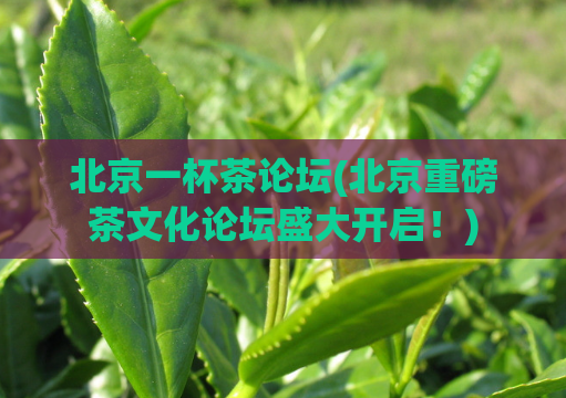 北京一杯茶论坛(北京重磅茶文化论坛盛大开启！)