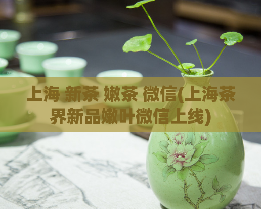 上海 新茶 嫩茶 微信(上海茶界新品嫩叶微信上线)