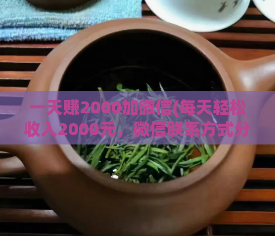 一天赚2000加微信(每天轻松收入2000元,微信联系方式分享!)