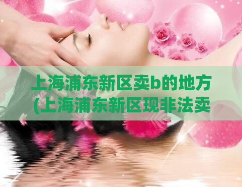 上海浦东新区卖b的地方(上海浦东新区现非法卖淫地点被查处)