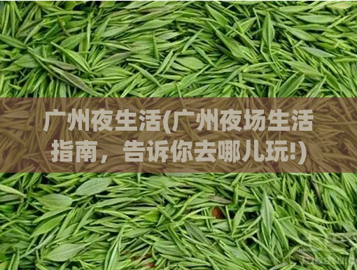 广州夜生活(广州夜场生活指南，告诉你去哪儿玩!)