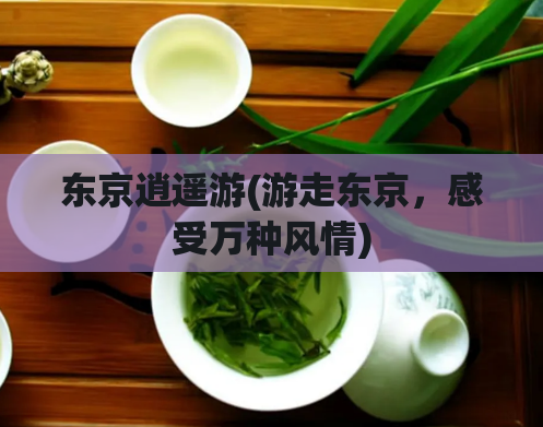 东京逍遥游(游走东京,感受万种风情)