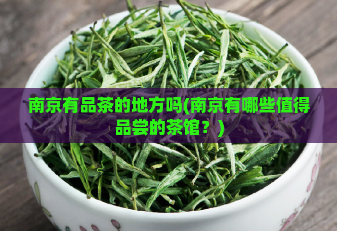 南京有品茶的地方吗(南京有哪些值得品尝的茶馆?)