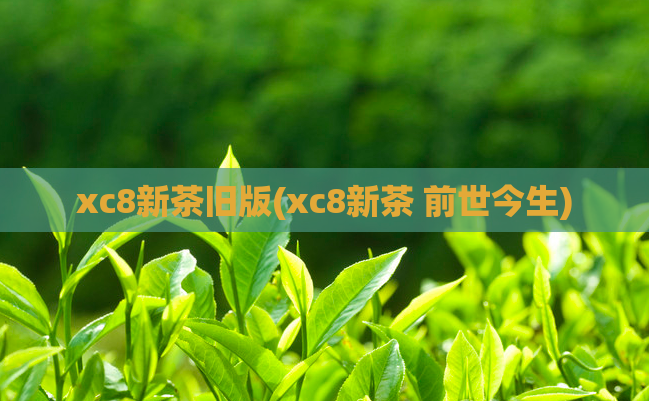 xc8新茶旧版(xc8新茶 前世今生)