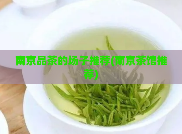 南京品茶的场子推荐(南京茶馆推荐)
