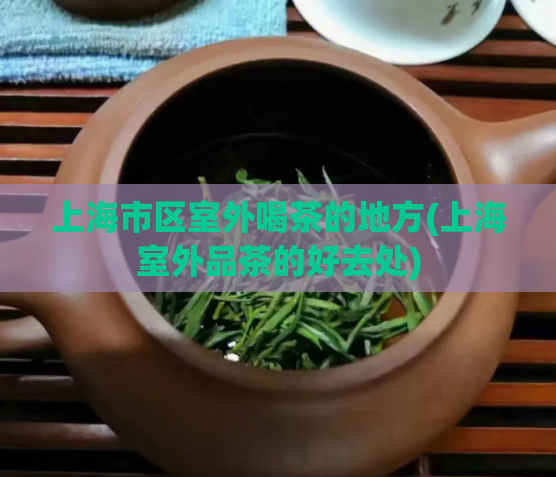 上海市区室外喝茶的地方(上海室外品茶的好去处)