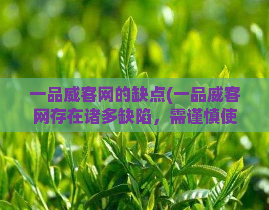 一品威客网的缺点(一品威客网存在诸多缺陷,需谨慎使用)