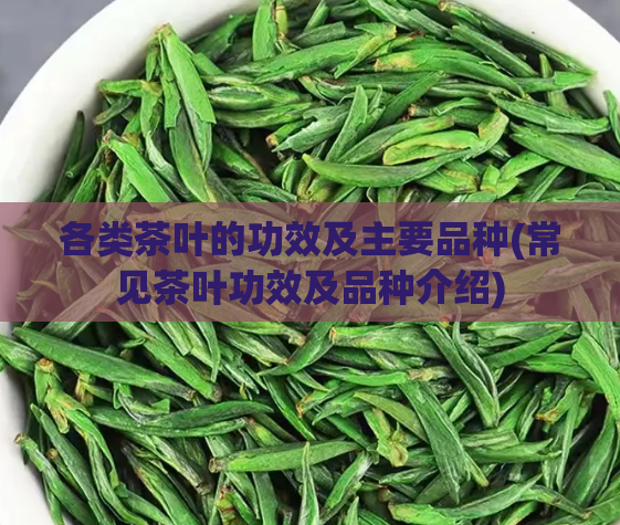 各类茶叶的功效及主要品种(常见茶叶功效及品种介绍)