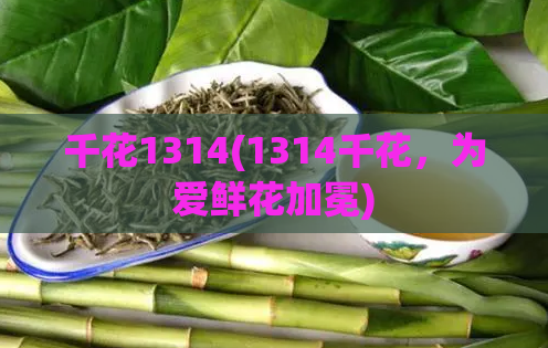 千花1314(1314千花,为爱鲜花加冕)