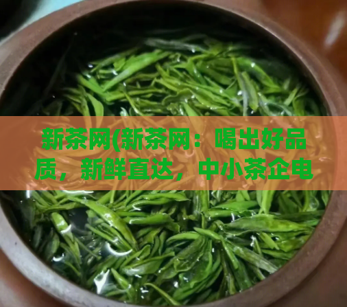新茶网(新茶网:喝出好品质,新鲜直达,中小茶企电商平台)