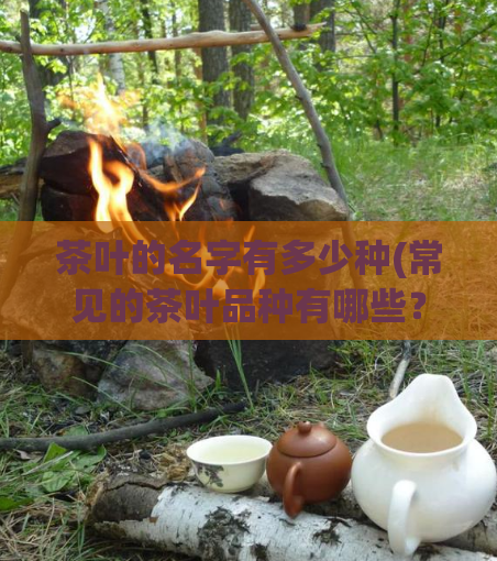 茶叶的名字有多少种(常见的茶叶品种有哪些？)