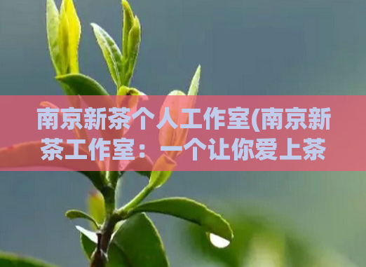 南京新茶个人工作室(南京新茶工作室:一个让你爱上茶的地方)