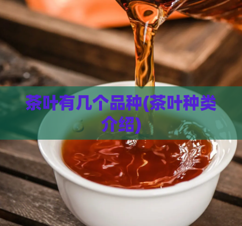 茶叶有几个品种(茶叶种类介绍)