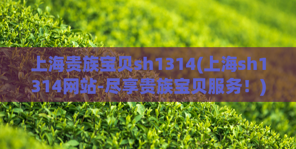 上海贵族宝贝sh1314(上海sh1314网站-尽享贵族宝贝服务!)