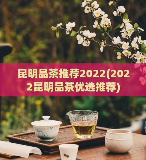 昆明品茶推荐2022(2022昆明品茶优选推荐)
