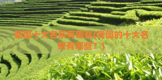 我国十大名茶有哪些(我国的十大名茶有哪些?)
