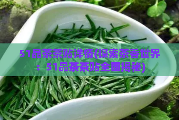 51品茶茶贴详情(探索茶香世界:51品茶茶贴全面揭秘)