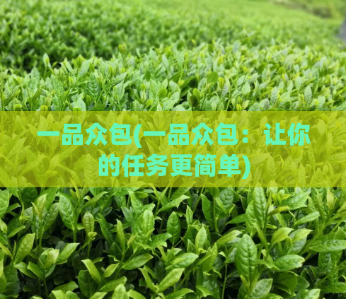一品众包(一品众包:让你的任务更简单)