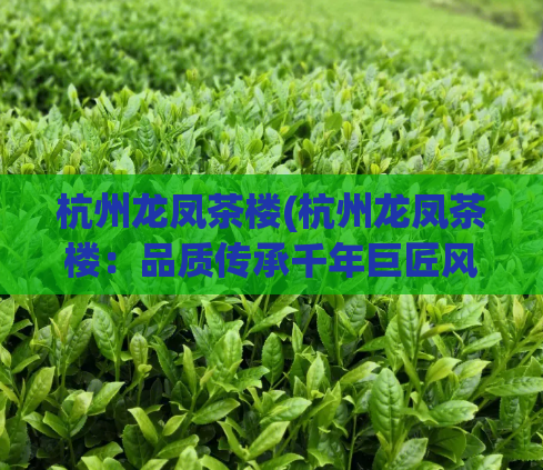 杭州龙凤茶楼(杭州龙凤茶楼:品质传承千年巨匠风范)