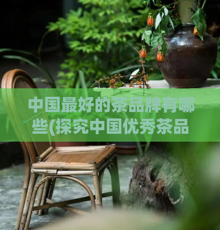 中国最好的茶品牌有哪些(探究中国优秀茶品牌，你一定不能错过这些！)