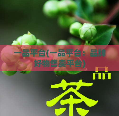 一品平台(一品平台：品牌好物售卖平台)